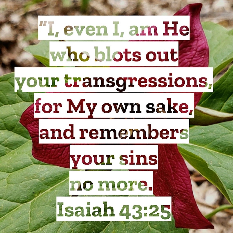 Isaiah 43:25